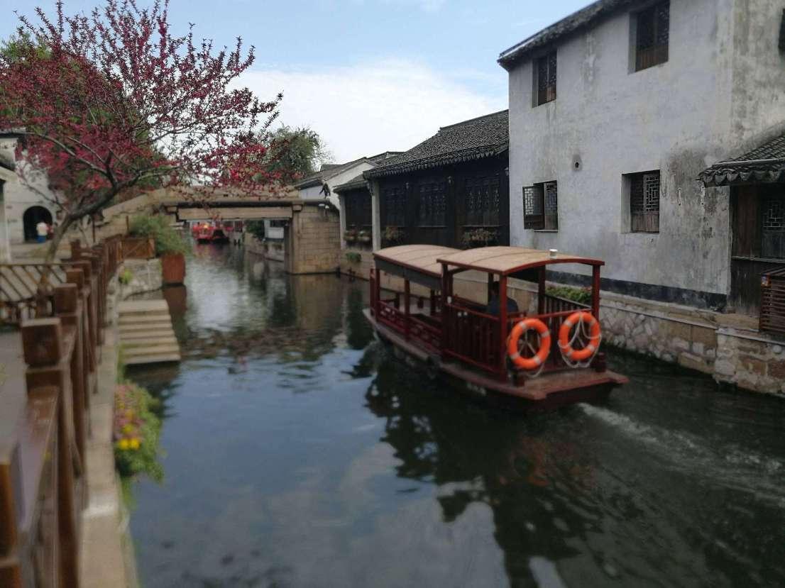 搁浅三亚的领航鲸恢复良好,一天狂炫40斤鱿鱼,救助人员:希望它尽快回归大海